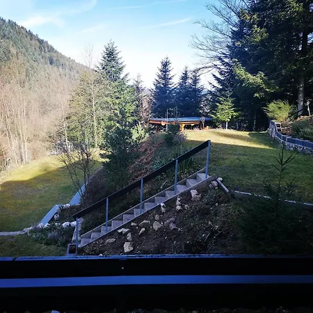 Διαμέρισμα Schwarzwaldblick Hornberg